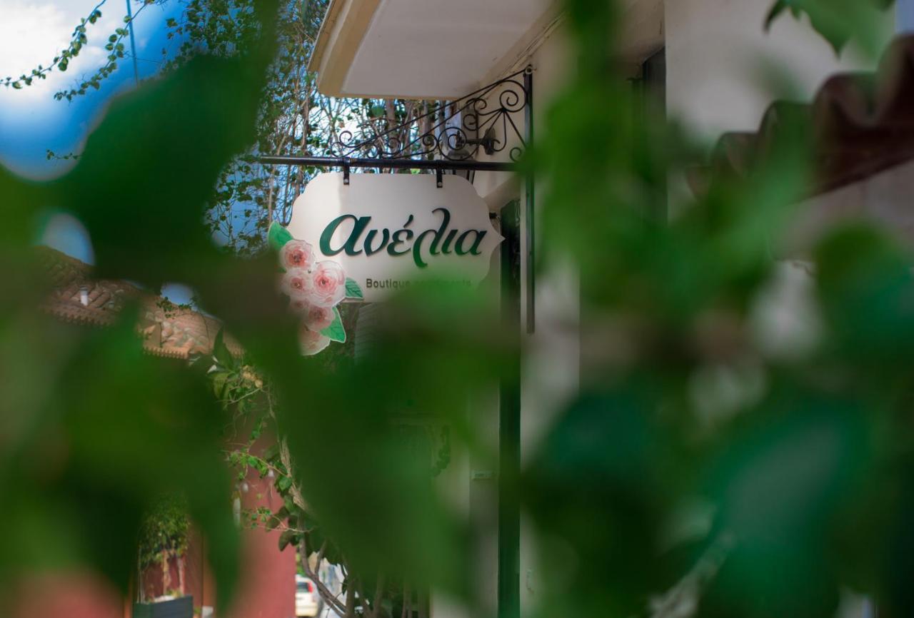 Anelia Boutique Apartments 纳夫普利翁 外观 照片